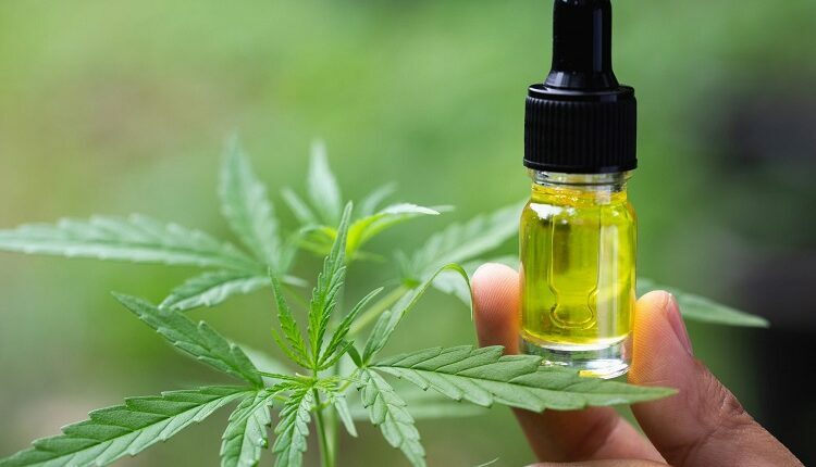 CBD Oil
