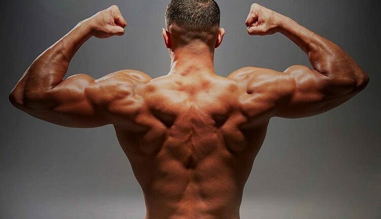 Build Muscles And Boost Testosterone